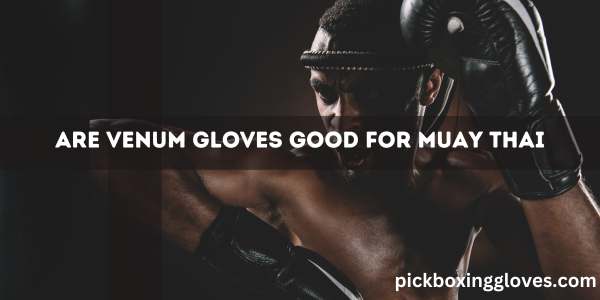 Are Venum Gloves Good for Muay Thai