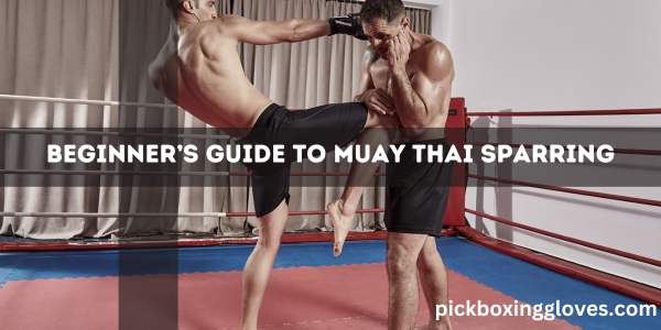 Beginner’s Guide to Muay Thai Sparring