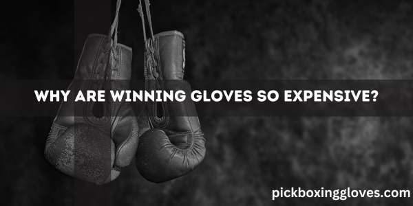 Why Are Winning Gloves So Expensive?