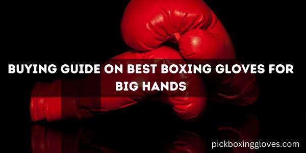 Buying Guide On Best Boxing Gloves For Big Hands
