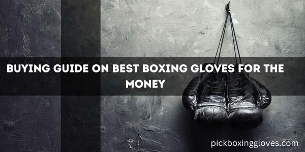 Buying Guide On Best Boxing Gloves For The Money