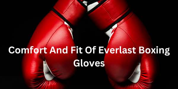 Comfort And Fit Of Everlast Boxing Gloves