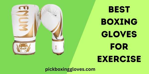 Best Boxing Gloves for Exercise