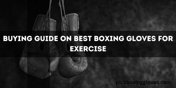 Buying Guide On Best Boxing Gloves For Exercise