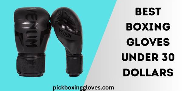 Best Boxing Gloves Under 30