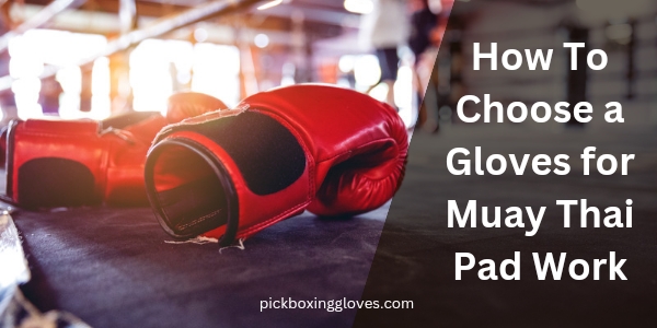 How To Choose a Gloves for Muay Thai Pad Work