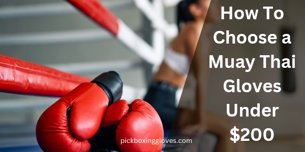 How To Choose a Muay Thai Gloves Under 200