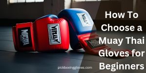 How To Choose a Muay Thai Gloves for Beginners