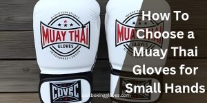 How To Choose a Muay Thai Gloves for Small Hands