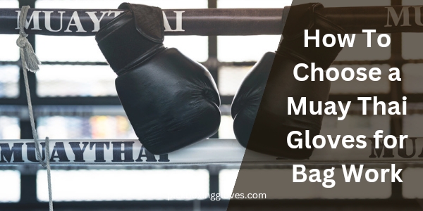How To Choose a Muay Thai Gloves for Bag Work