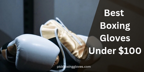 Best Boxing Gloves Under 100 dollars