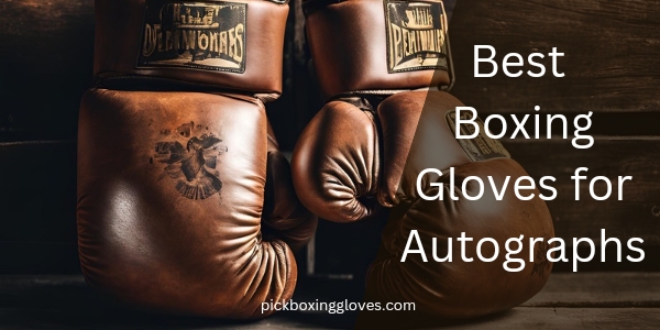 Best Boxing Gloves for Autographs