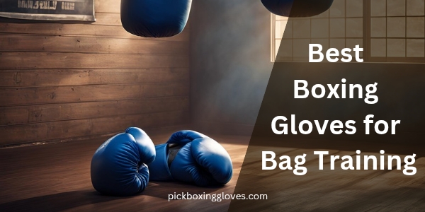 Best Boxing Gloves for Bag Training