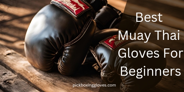 Best Muay Thai Gloves For Beginners