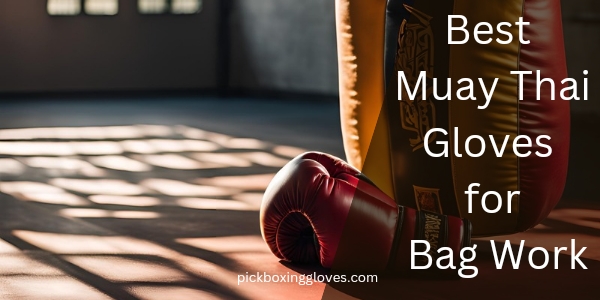 Best Muay Thai Gloves for Bag Work
