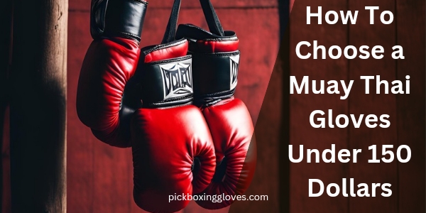 How To Choose a Muay Thai Gloves Under 150 Dollars