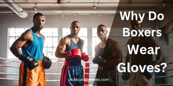 Why Do Boxers Wear Gloves?