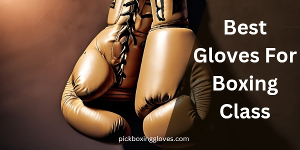 Best Gloves For Boxing Class