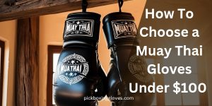 How To Choose a Muay Thai Gloves Under $100