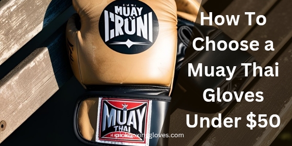 How To Choose a Muay Thai Gloves Under 50