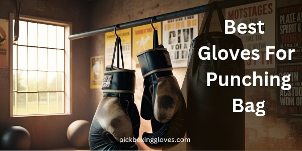 Best Gloves For Punching Bag