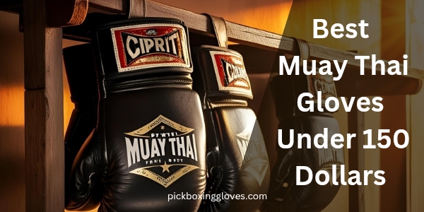 Best Muay Thai Gloves Under 150 Dollars