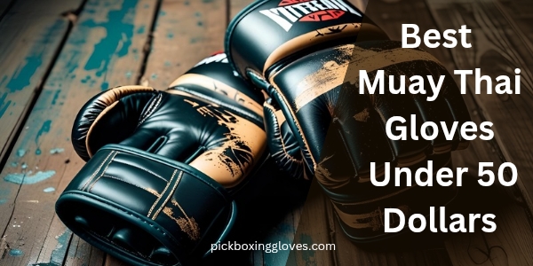 Best Muay Thai Gloves Under 50 Dollars
