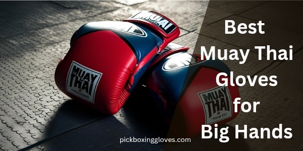 Best Muay Thai Gloves for Big Hands