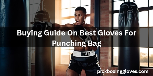 Buying Guide On Best Gloves For Punching Bag