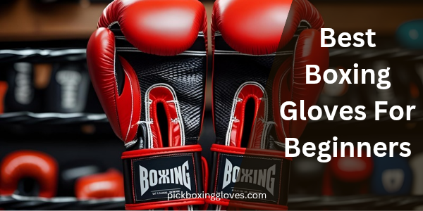 Best Boxing Gloves For Beginners