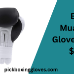 Best Muay Thai Gloves Under $100