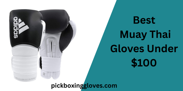 Best Muay Thai Gloves Under $100