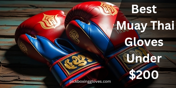 Best Muay Thai Gloves Under $200