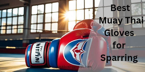 Best Muay Thai Gloves for Sparring