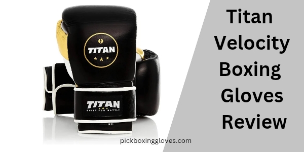 Titan Velocity Boxing Gloves Review