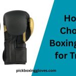 How To Choose a Boxing Gloves for Training
