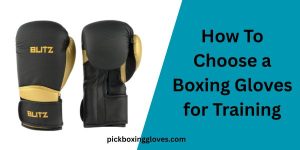 How To Choose a Boxing Gloves for Training