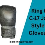 Ring to Cage C-17 Japanese Style Boxing Gloves Review