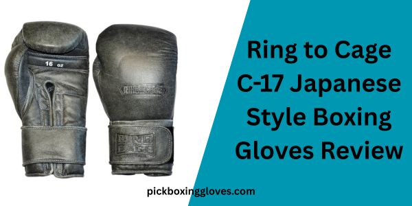 Ring to Cage C-17 Japanese Style Boxing Gloves Review